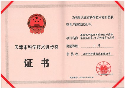 2006年天津市科學(xué)技術(shù)進步二等獎